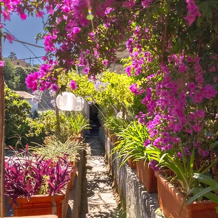 아파트 Impero Luxury